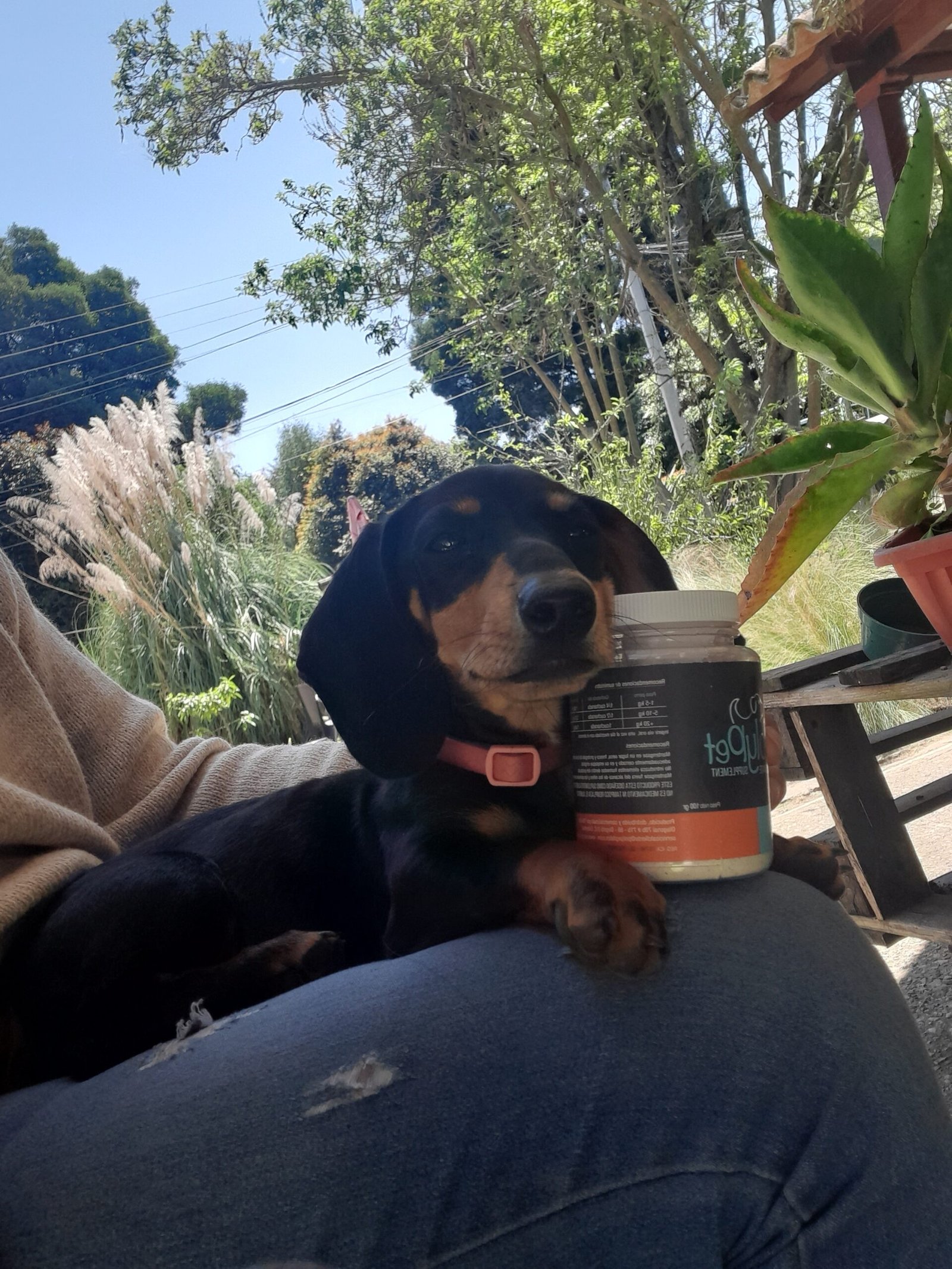 20230202 121310 scaled 1