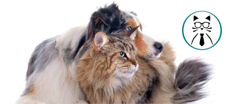 ¿Se debe crear un contrato de compraventa con las cláusulas propias a las características de los animales no humanos (seres sintientes y cosas)?