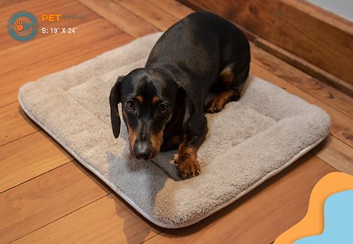 6267cc 1087243e5b2d454eafe686741a8116a2mv2