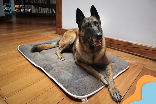 6267cc 19856822c63f43d78bcabf06a6442fddmv2