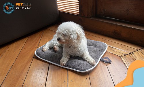 6267cc 20d8949802aa488b92f04e15fe62a02amv2