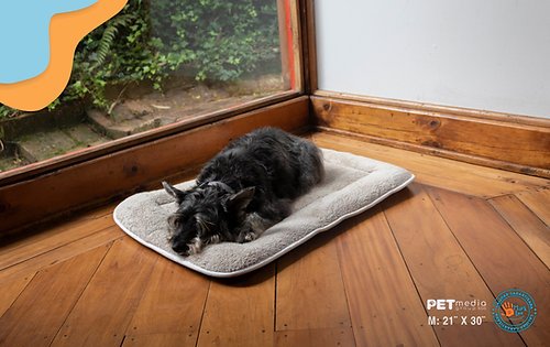 6267cc 74f9007b58c140729a84671c37e5d847mv2 2