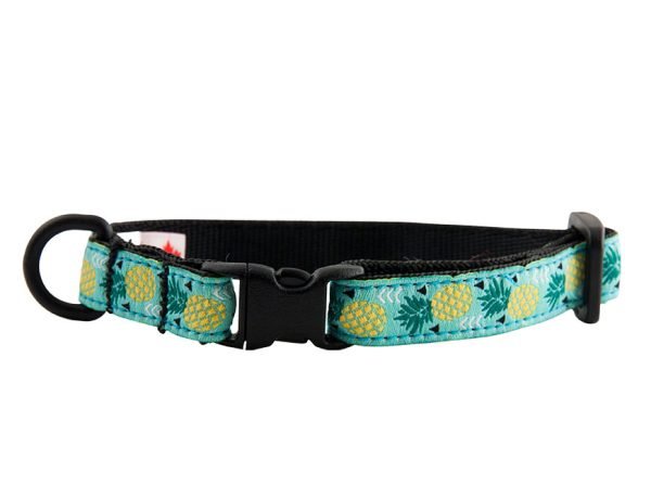 Collar estampado para gatos pinas 1 1
