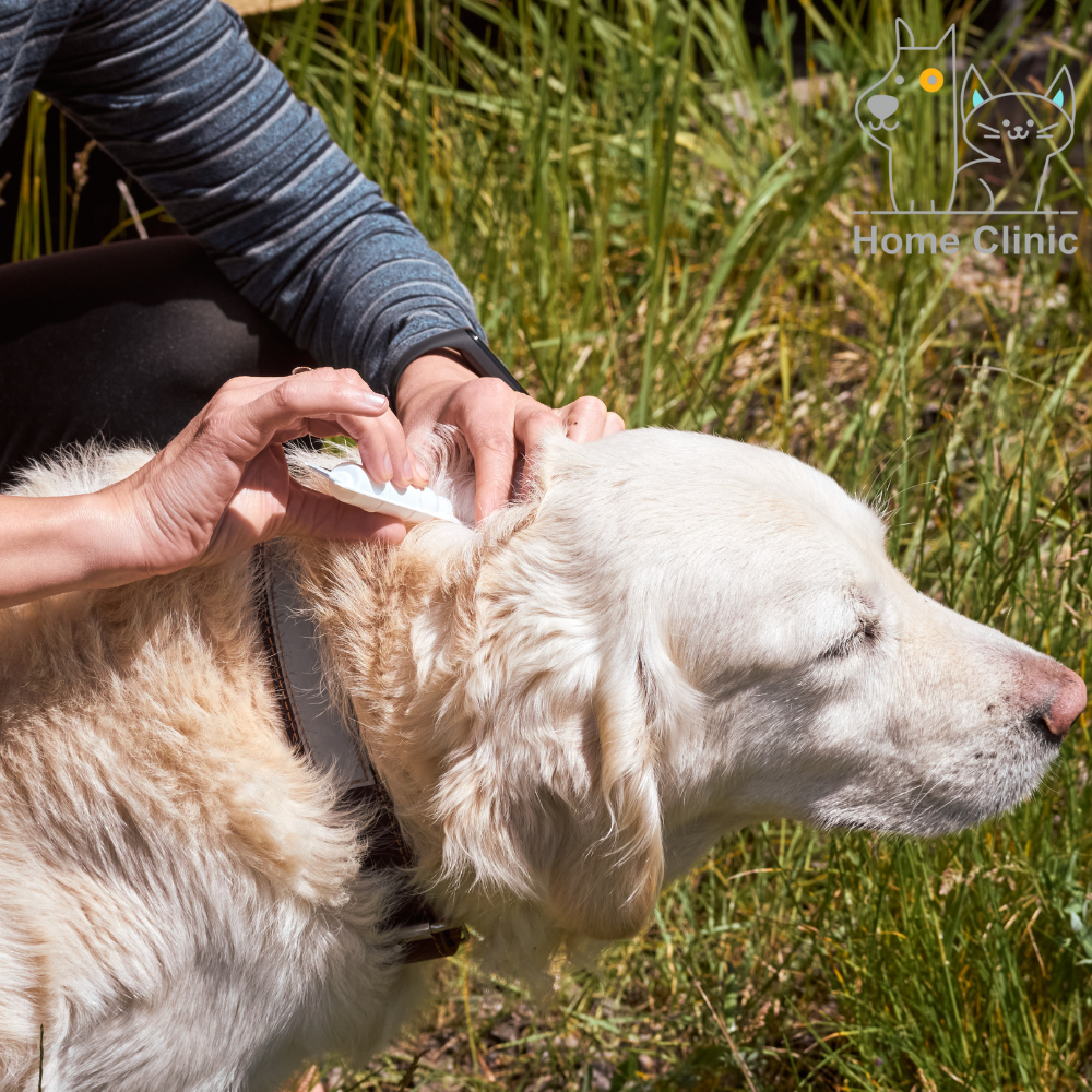 Diseno sin titulo 141