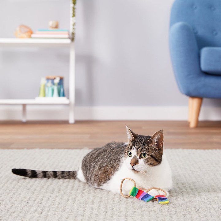 Juguete corbatin para gatos 1