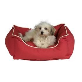 Launguer bed xs roja