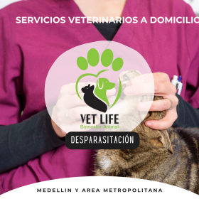SERVICIOS VETERINARIOS A DOMICILIO 8