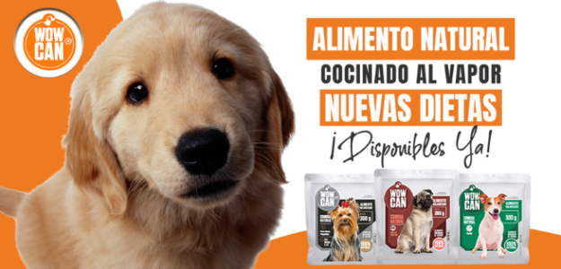 cropped 293952687 2958615650950871 4703091823472783242 n