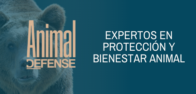 Animal Defense