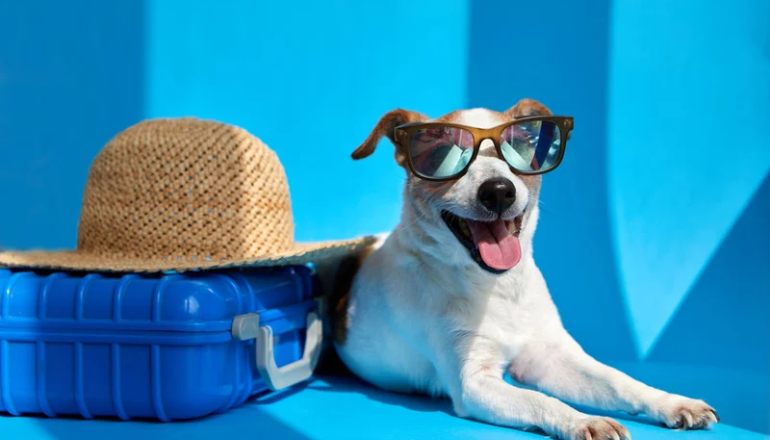 Se acercan las vacaciones