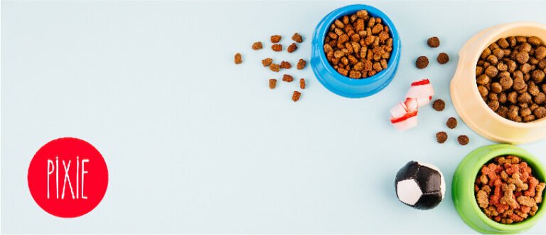 5 razones por las que la alimentación natural horneada es la mejor alternativa para tu peludo