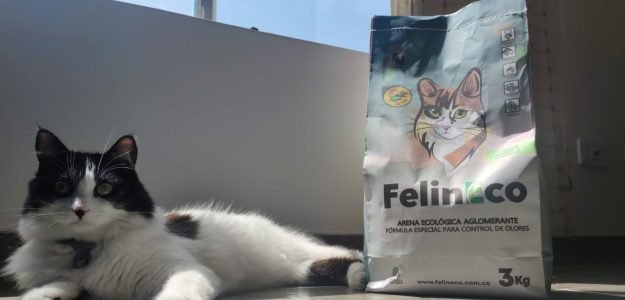 Arena Ecológica Felineco