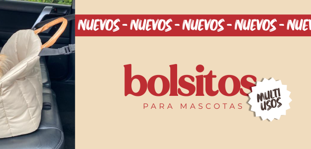 cropped 358592578 230262713172885 8843267200042956013 n 1