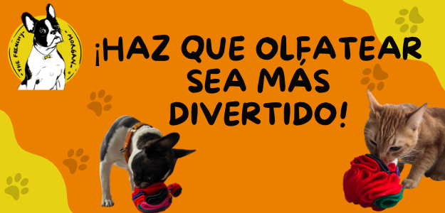BE5FCB3B 79EE 44C9 8E7F 52702AA82ECC