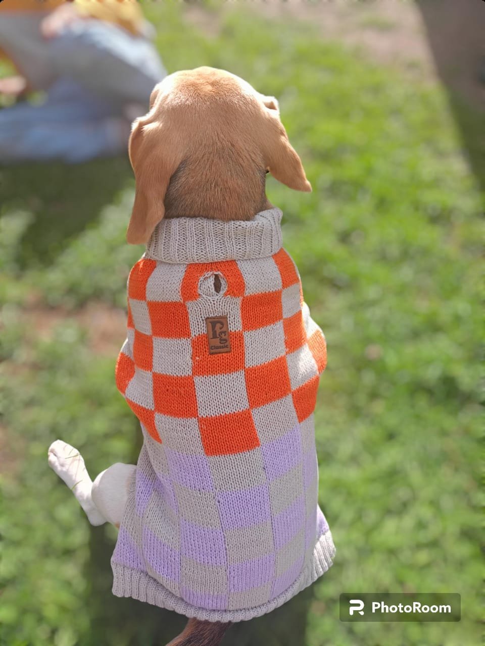 WhatsApp Image 2024 05 04 at 2.55.14 PM 2