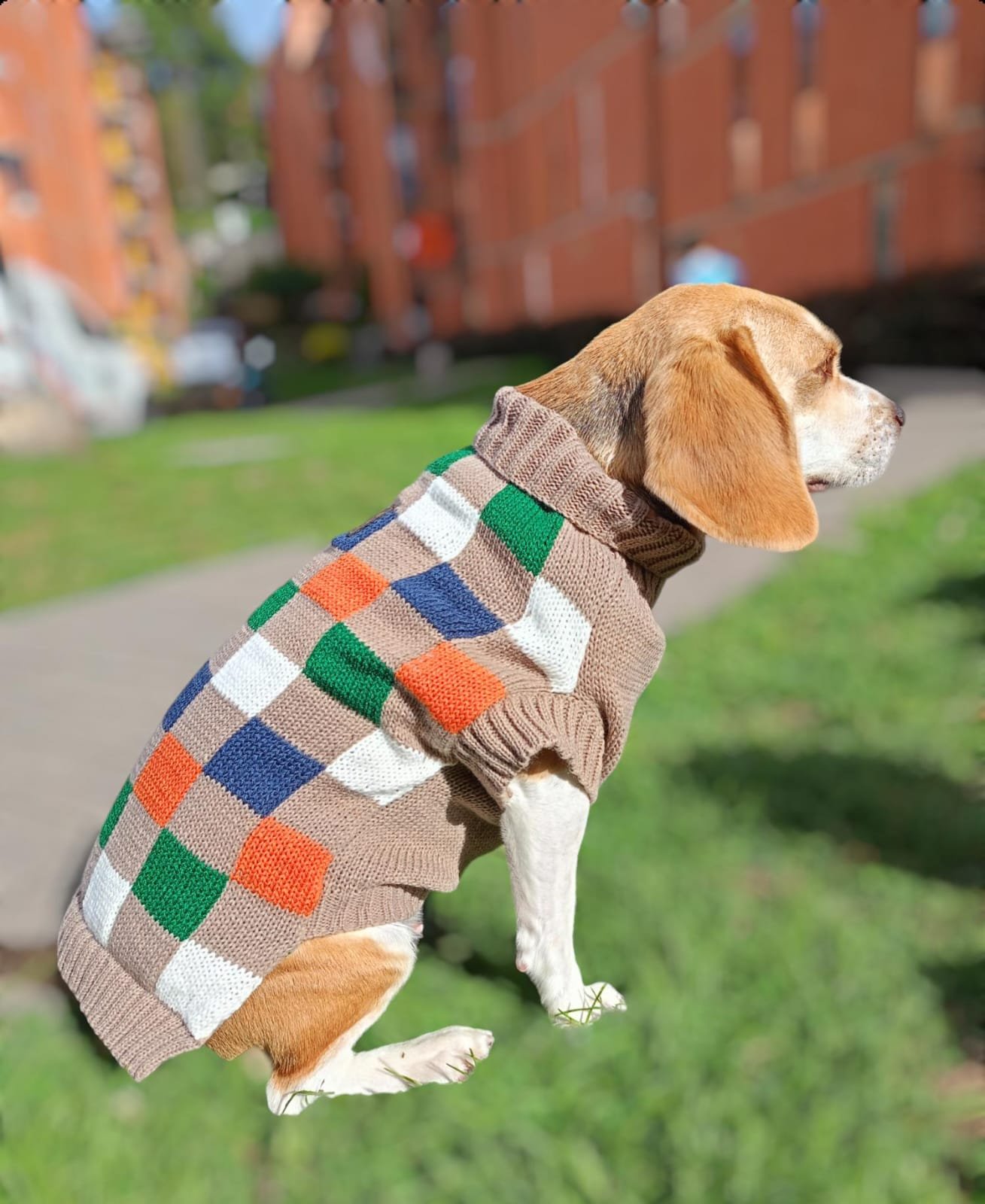 WhatsApp Image 2024 05 04 at 2.55.14 PM 4