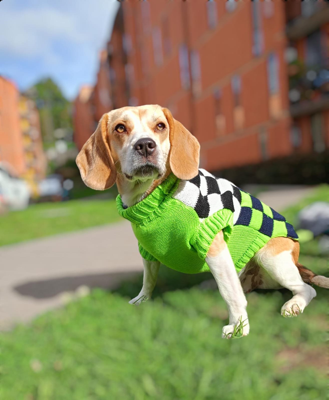 WhatsApp Image 2024 05 04 at 2.55.14 PM 5