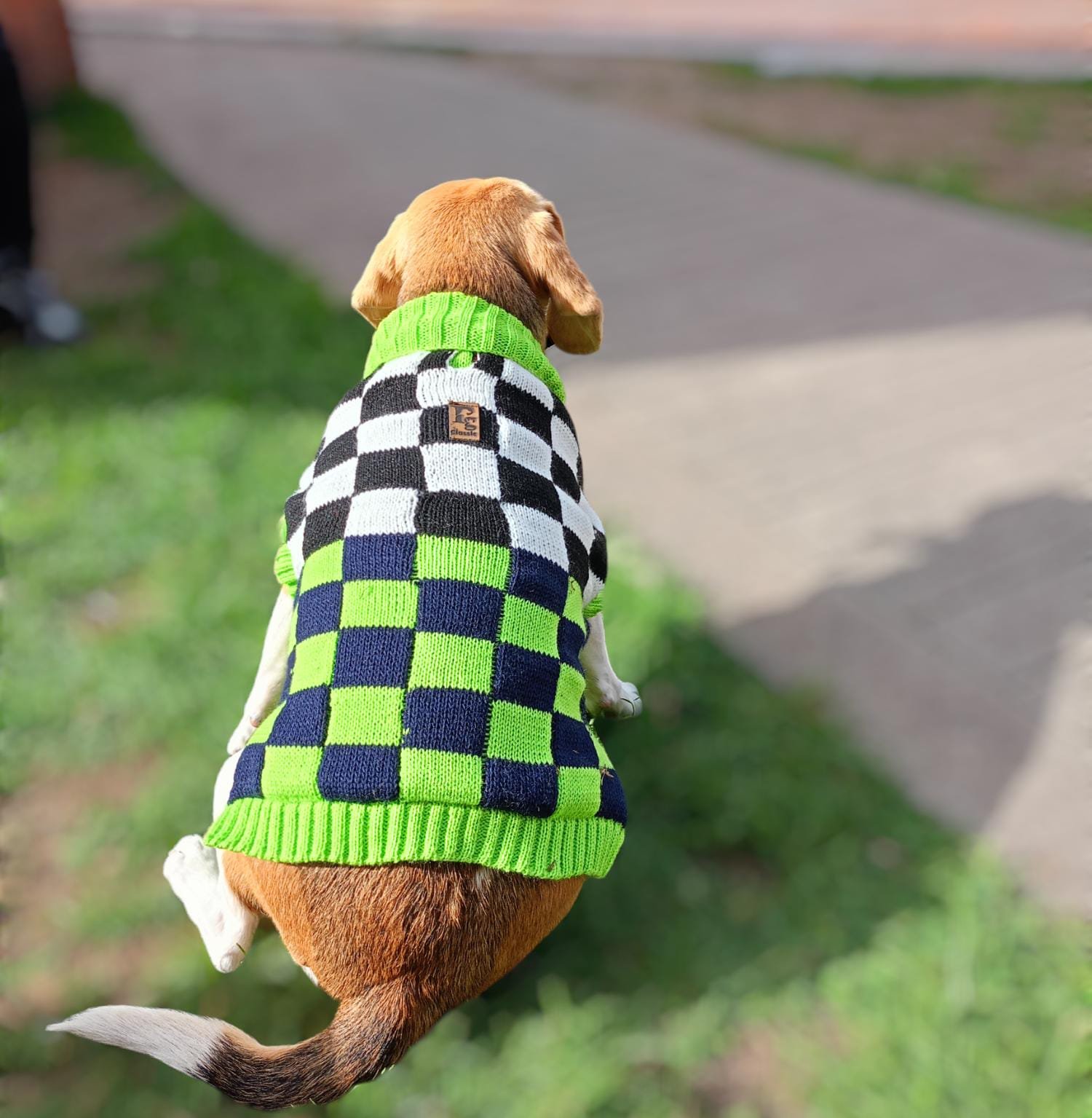 WhatsApp Image 2024 05 04 at 2.55.14 PM