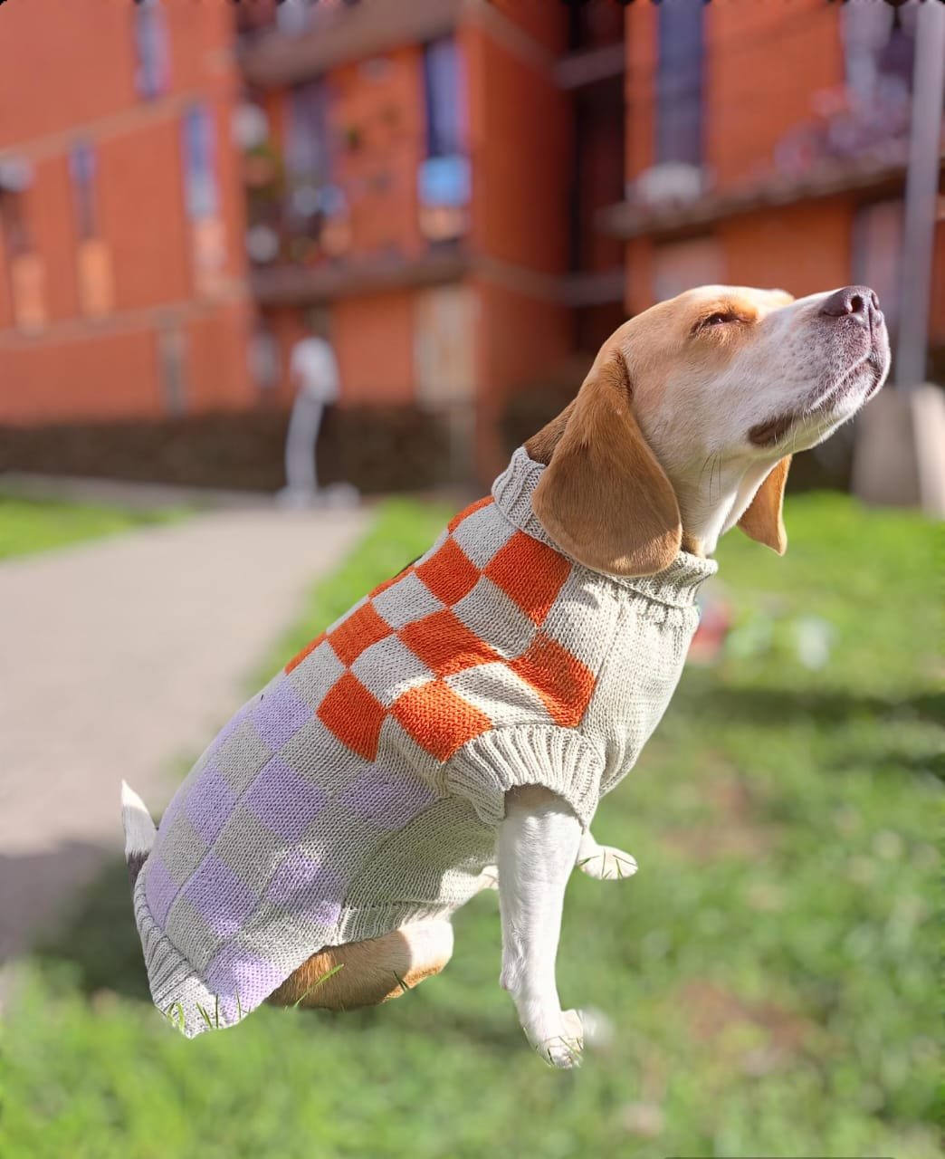 WhatsApp Image 2024 05 04 at 2.55.15 PM