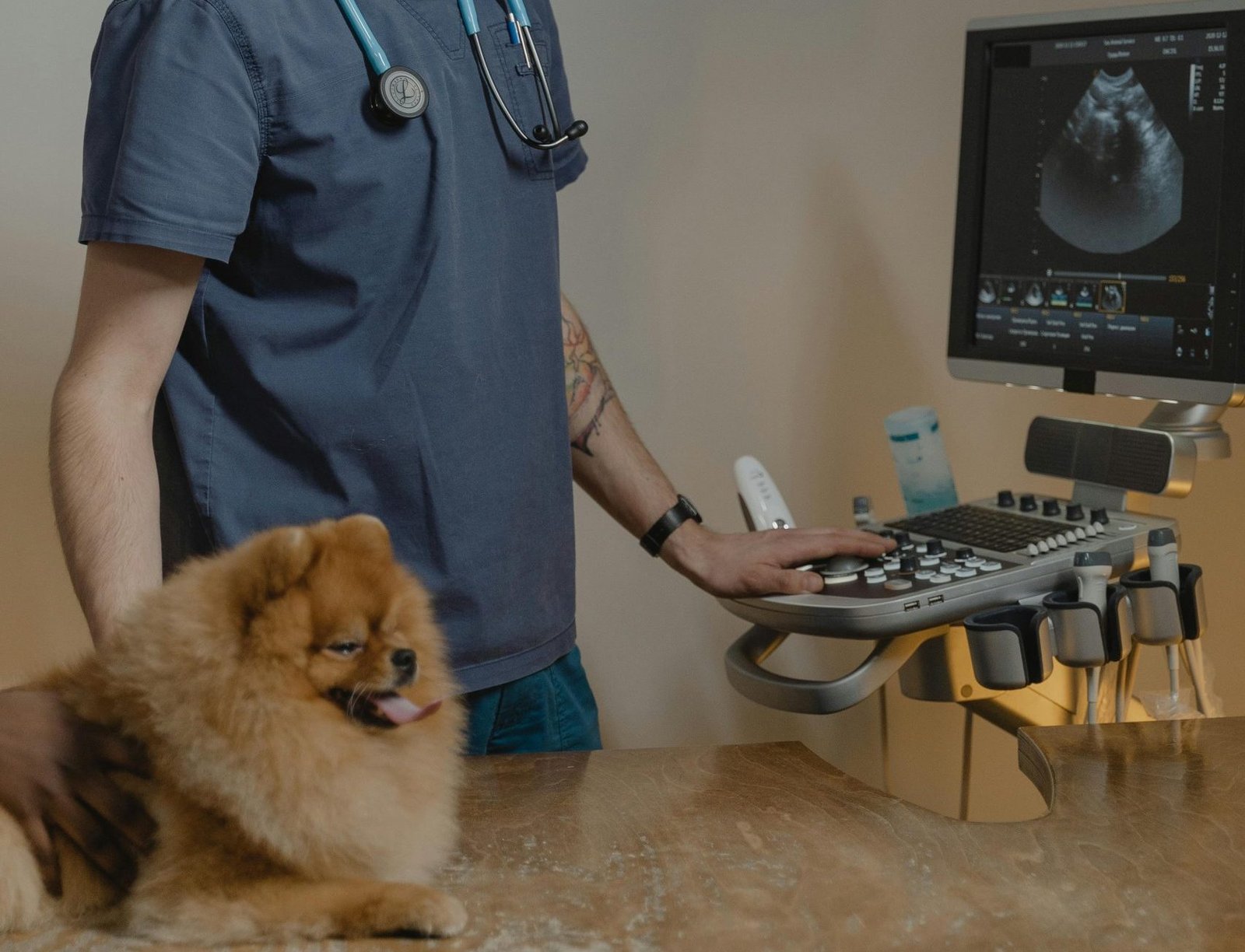 pexels tima miroshnichenko 6235657 scaled e1718205655125