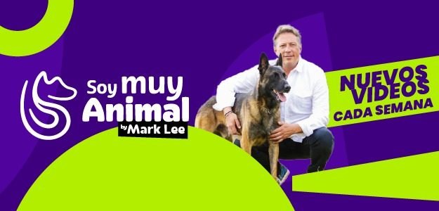 Soy Muy Animal Soy Muy Animal
