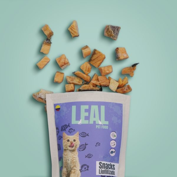 EDITABLE SNACK GATO FRENTE