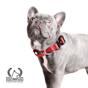 Diseño sin título (28)