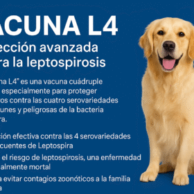 aabdee40-7da3-4bff-9589-88848d251949