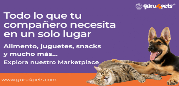 Guru 4 Pets