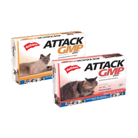Attack Gatos – Antipulgas Guru 4 Pets