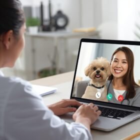 Asesoría veterinaria virtual (30 minutos)